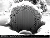 de sílice de HALO Protein 1000Å 2,7 µm